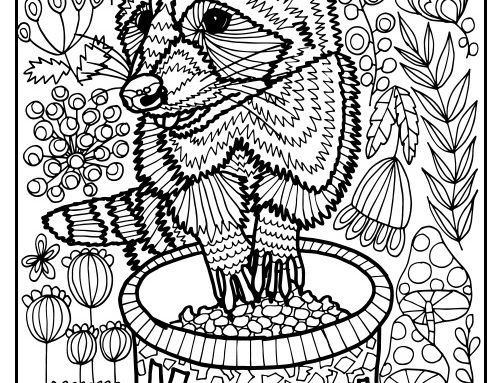 500x383 Bernese Mountain Dog Coloring Page Luna