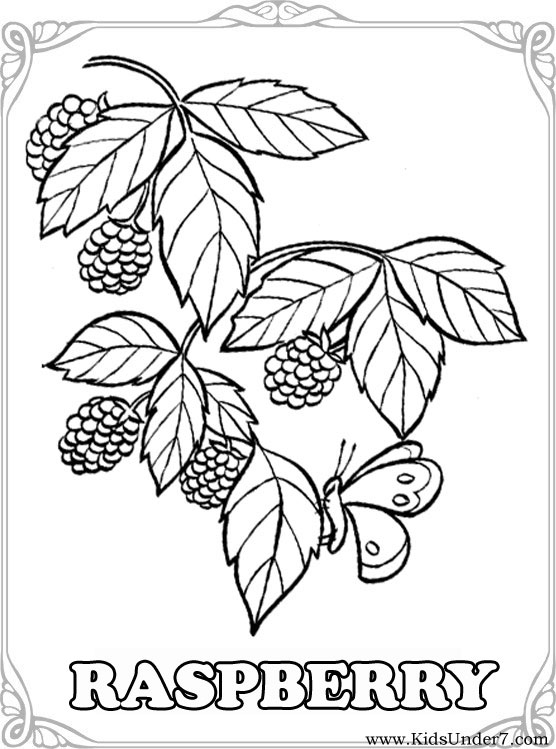 556x749 Kids Under Fruits And Berries Coloring Pages