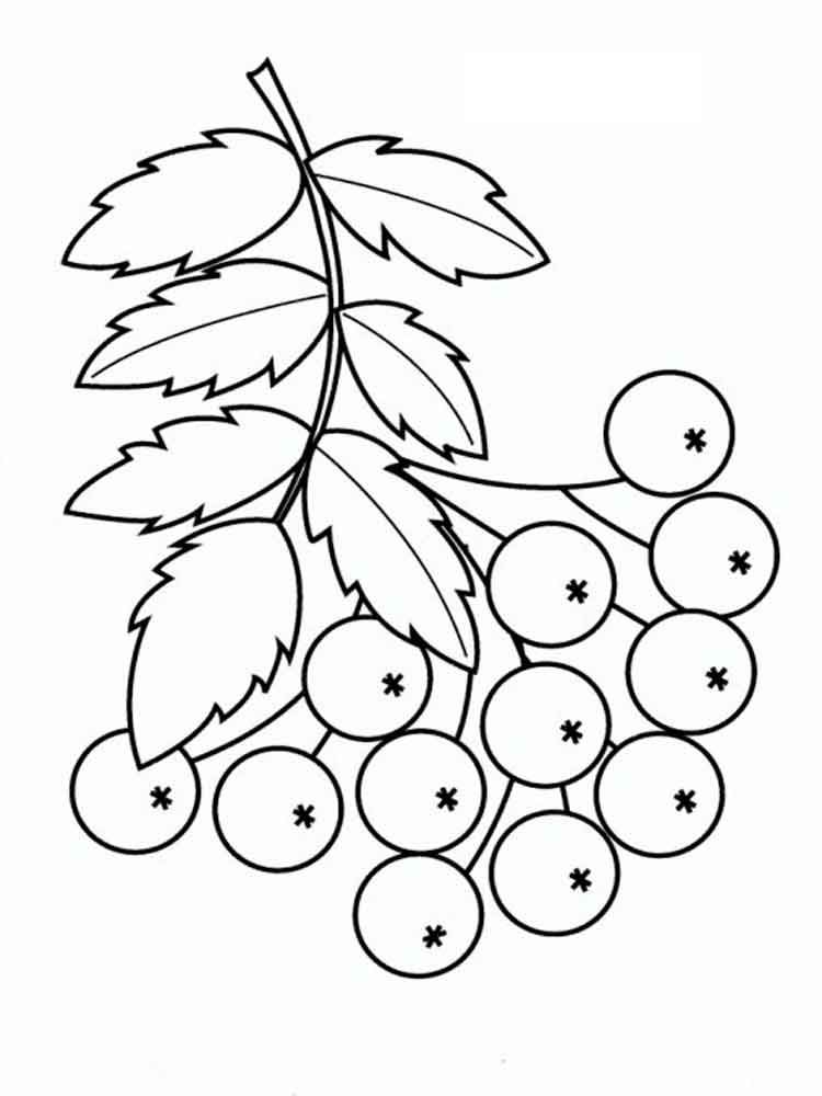 750x1000 Rowan Coloring Pages Download And Print Rowan Coloring Pages