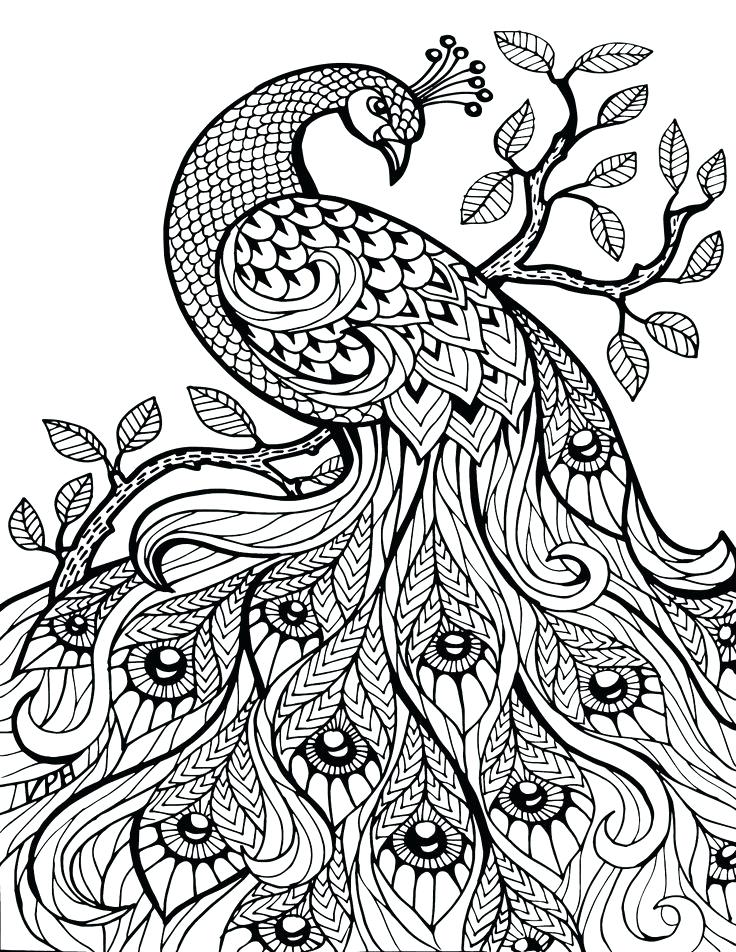 736x952 Free Adult Coloring Pages Breathe Adult Anti Stress Coloring