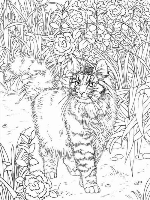 500x667 Best Coloring Pages For Adults Best Coloring Pages For Adults