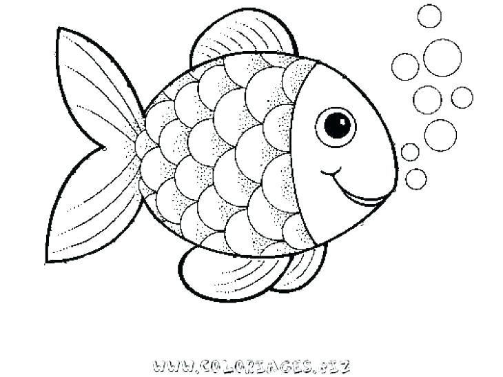 730x547 Betta Fish Coloring Pages Fish Coloring Pages Free Fish Coloring