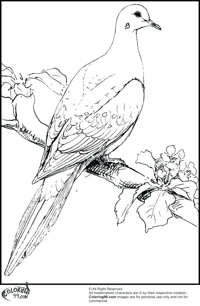 669x1024 Inspirational Betta Fish Coloring Pages New Inspirational