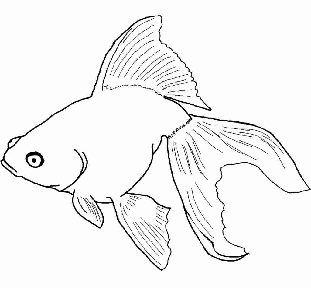 1024x946 Pictures Of Fish To Color On Betta Coloring Pages All In Olegratiy