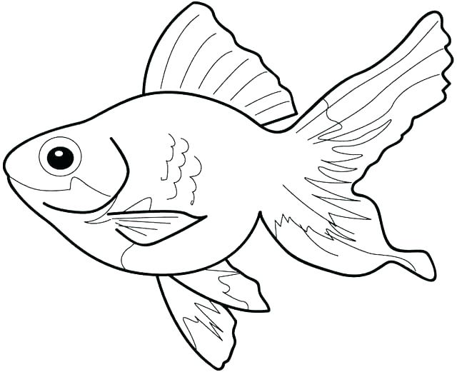 640x521 Terrific Fish Coloring Pages On Coloring Print With Fish Terrific