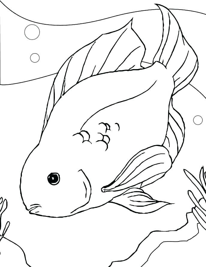 687x889 Betta Fish Coloring Page Coloring Page Fish Coloring Page