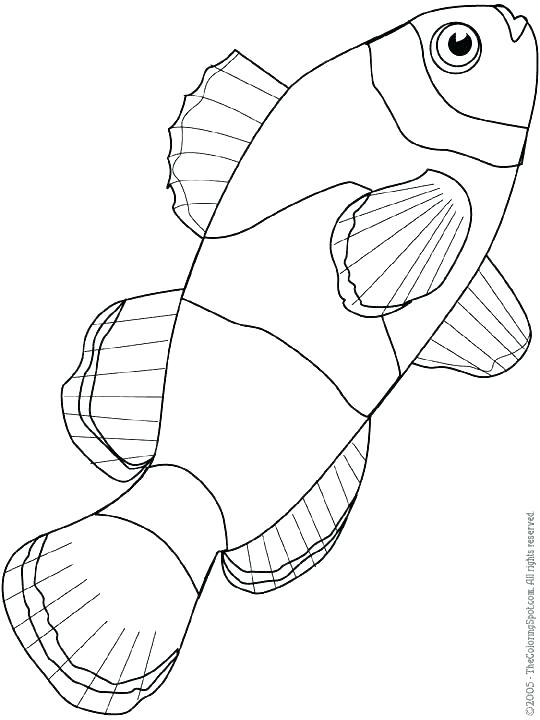 540x720 Betta Fish Coloring Page