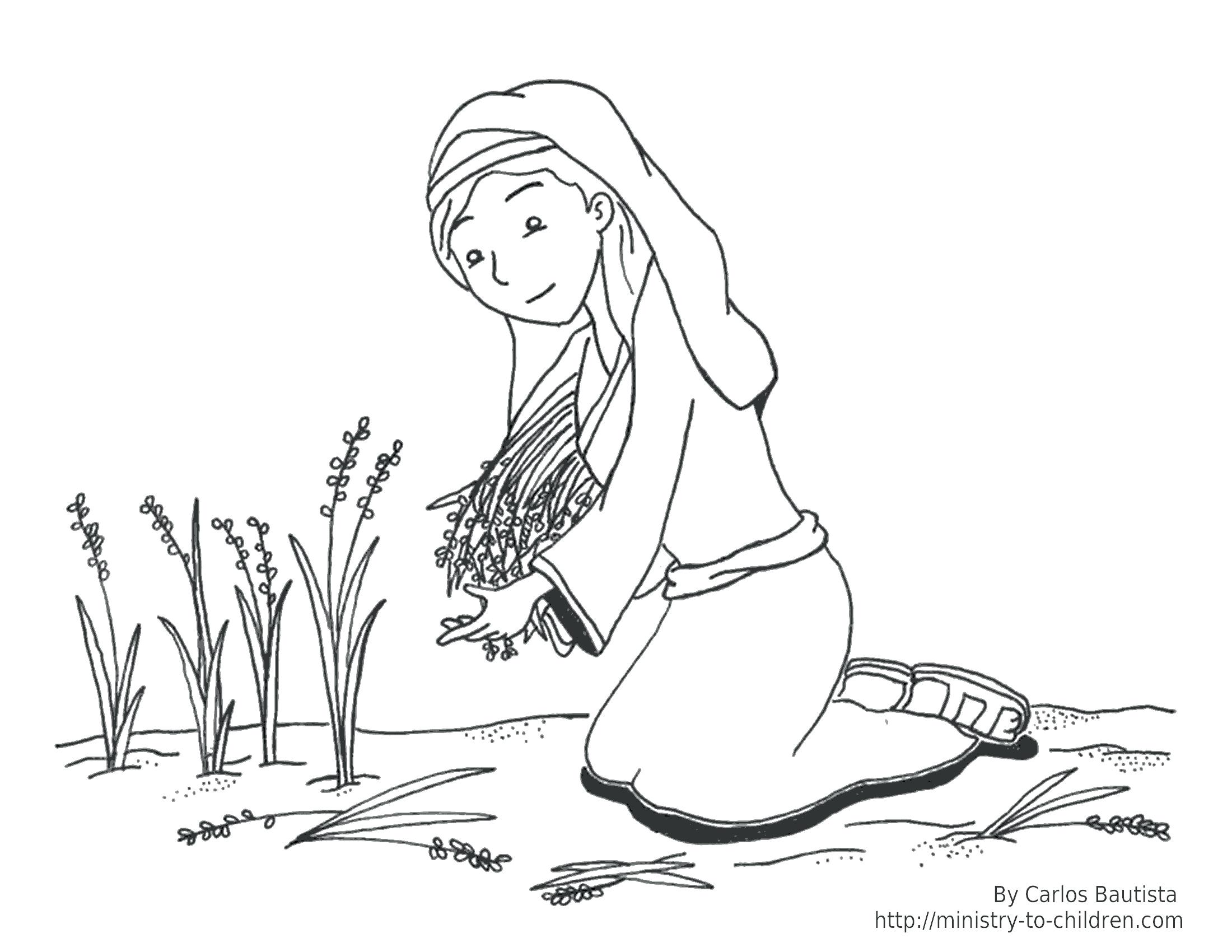 2200x1700 Coloring Pages Flowers And Butterflies Bible Character Moses Story