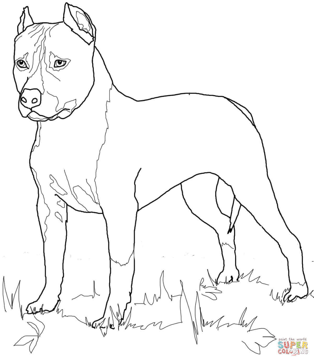 1200x1376 Boston Terrier Coloring Pages Printable