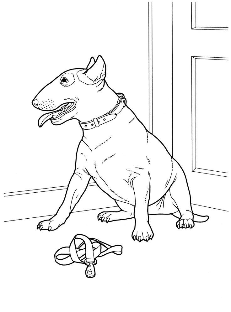736x996 Best Favorite Dog Colouring Pages Images