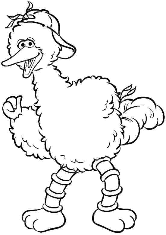 551x778 Big Bird Coloring Pages Printable Page Free Download