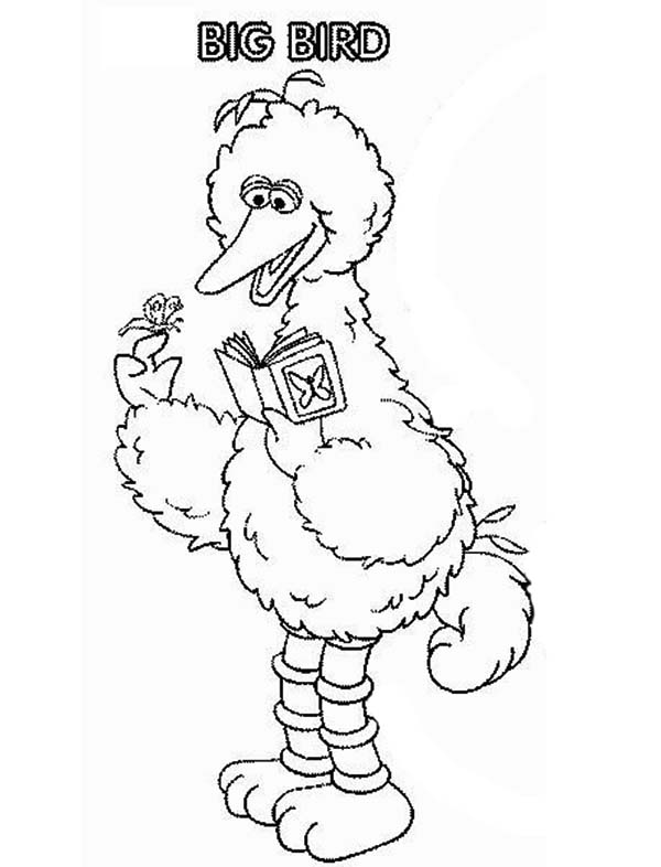 600x786 Sesame Street Character Big Bird Coloring Page Color Luna