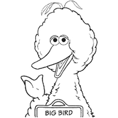 230x230 Top Free Printable Big Bird Coloring Pages Online