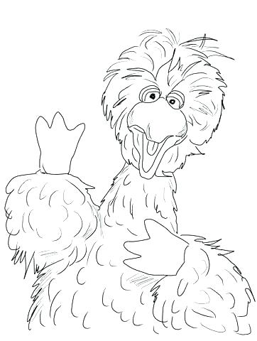 362x480 Bird Coloring Pages Printable