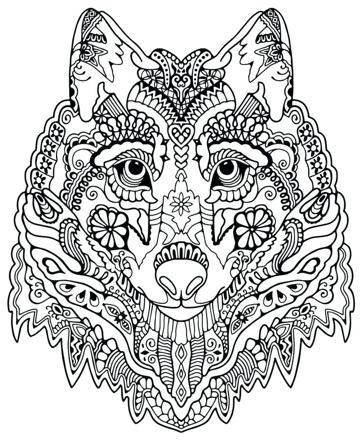 736x896 Big Cat Coloring Pages For Girls Cats In Good Draw Image Realistic