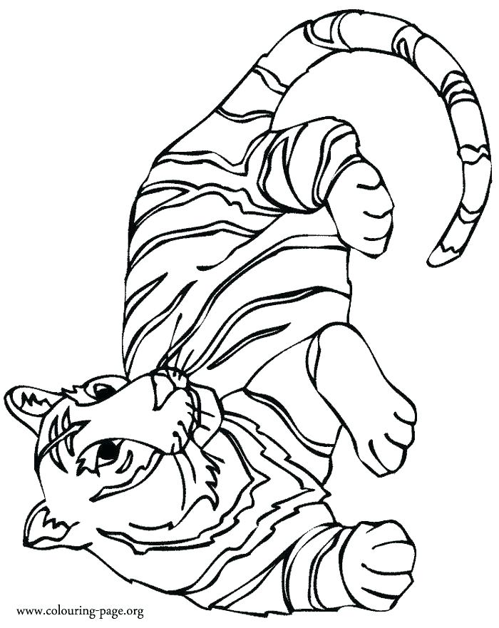 700x881 Big Cat Coloring Pages Forest Wild Cats Leopard Free And Big Cat