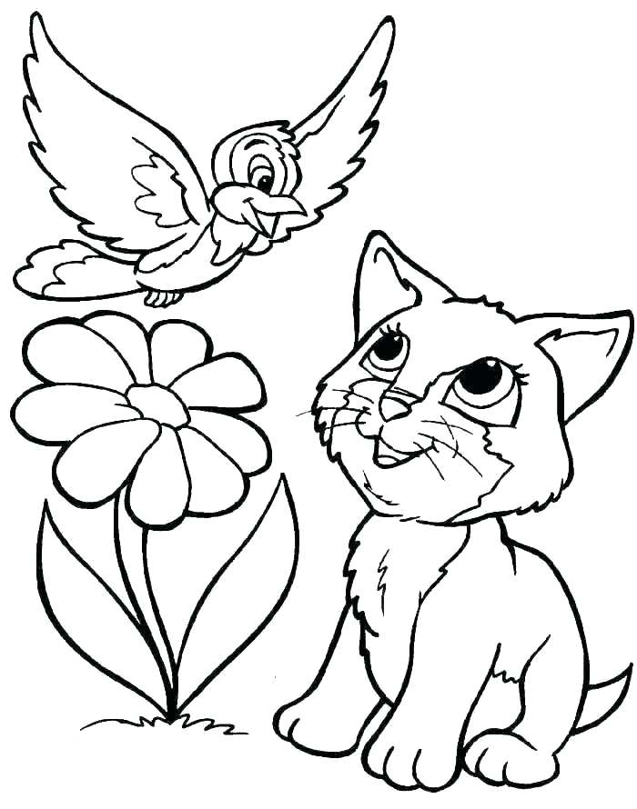 700x890 Big Cat Coloring Pages Kitty Cat Coloring Page Coloring Pages Cats