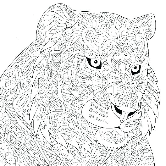 570x570 Cat Coloring Sheet Cat Coloring Pages Kitty Page Cat Coloring