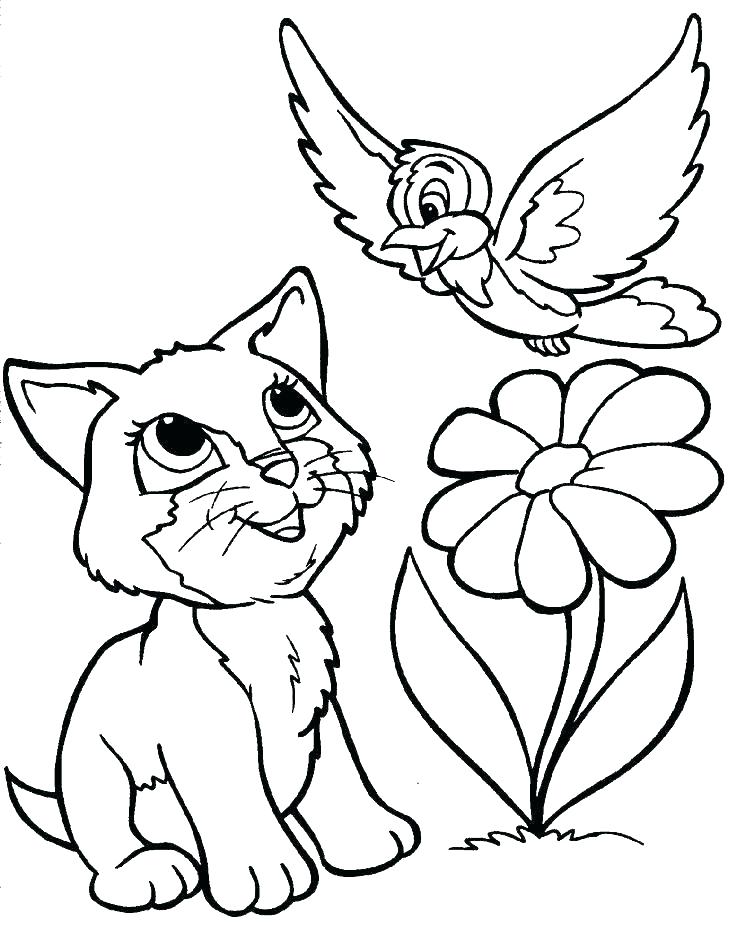 736x936 Cats Coloring Pages Big Cat Realistic Cats Coloring