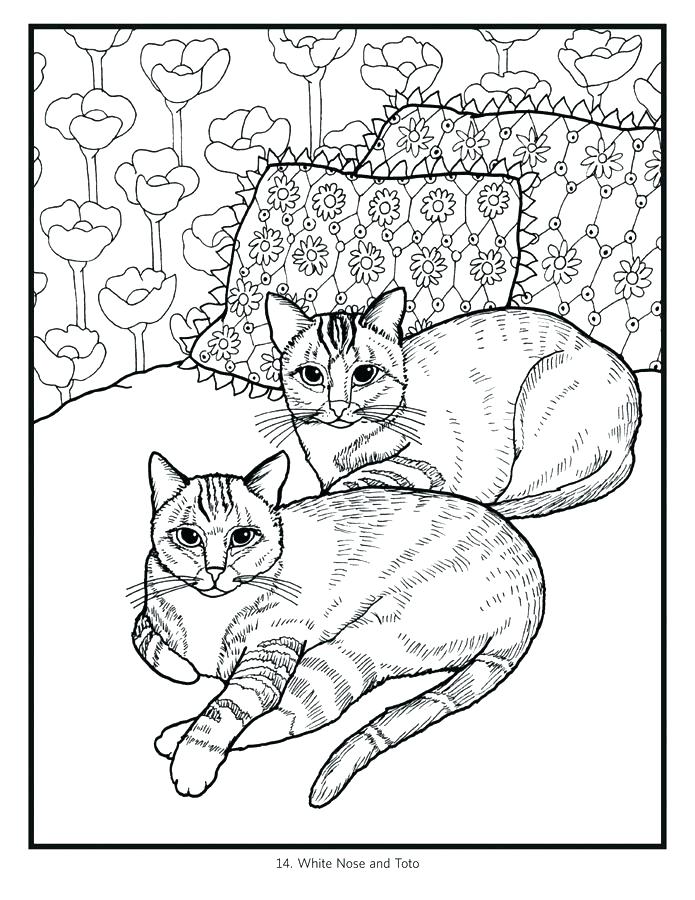 695x900 Big Cat Coloring Pages Big Cats Coloring Book Coloring Pages Cats