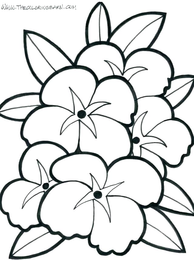 640x856 Big Coloring Pages Large Coloring Pages For Adults