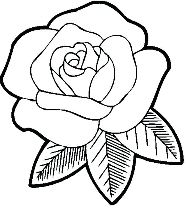 600x670 Elegant Big Coloring Pages For Big Beautiful Rose Coloring Page