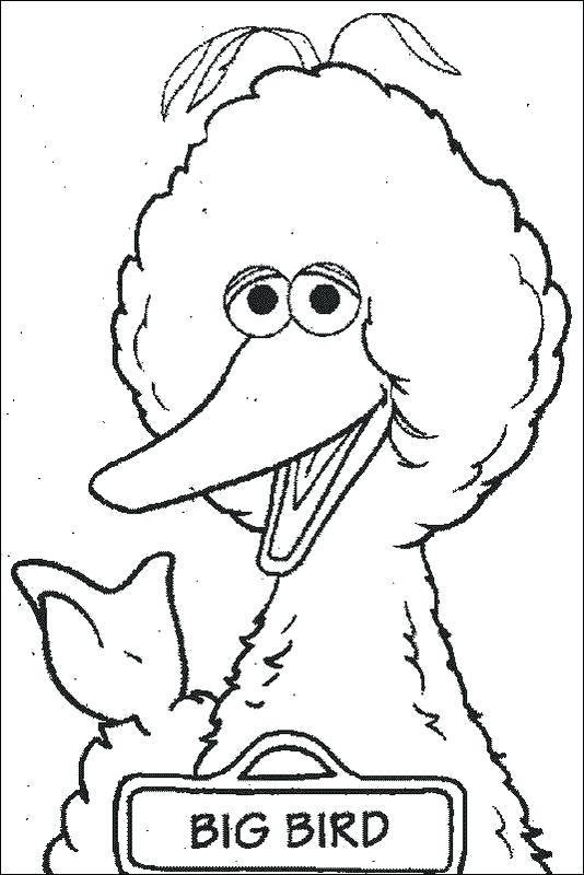 534x800 Big Coloring Pages To Print Big Bird Of Sesame Street Coloring