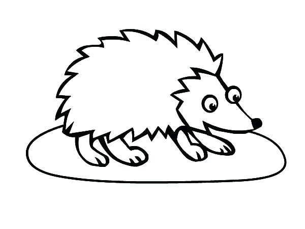 600x450 Big Eyed Hedgehog Coloring Pages Online Free For Kids Sun Part