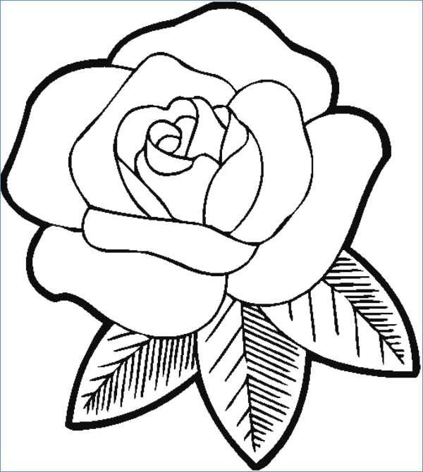 600x670 Butterfly And Big Flower Coloring Page For Kindegarten
