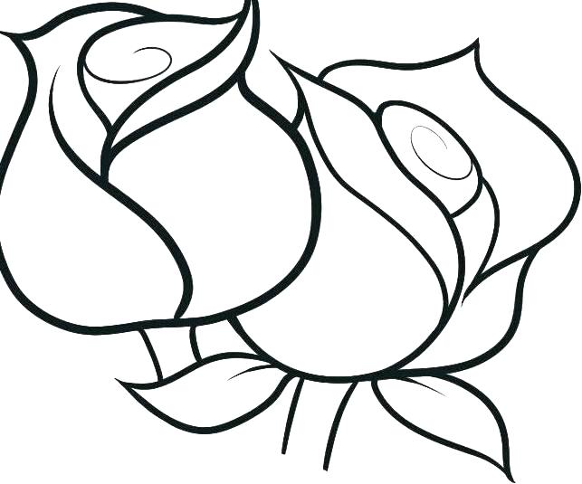 643x535 Free Printable Flower Coloring Pages