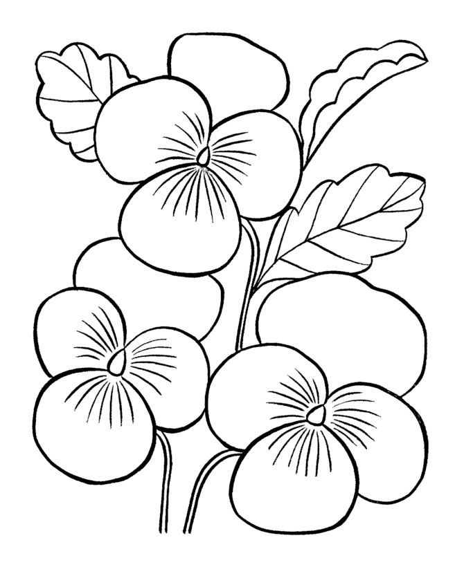670x820 Big Flower Coloring Pages Flowers Coloring Pages Artsy Crafty