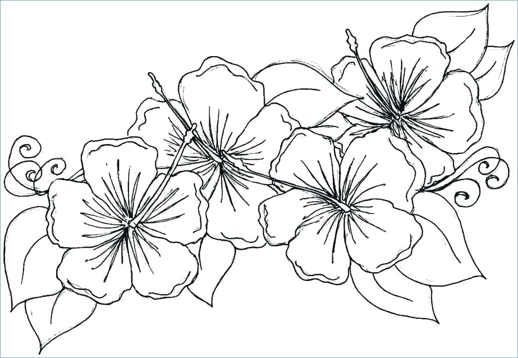 1043x721 Big Flower Coloring Pages Coloring Pages Flowersnd Hearts