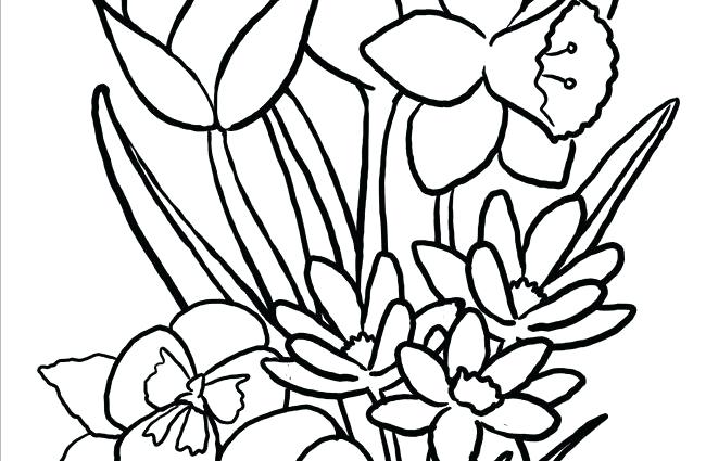 650x425 Big Flower Coloring Pages X Big Flower Coloring Sheets