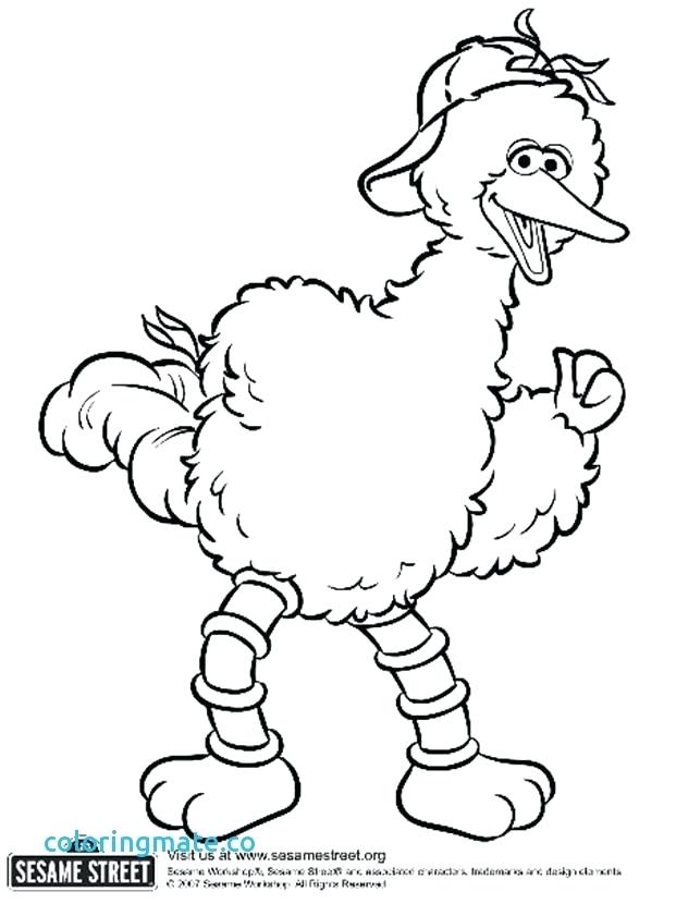 621x830 Big Coloring Pages Big Coloring Pages Unique Big Bird Coloring