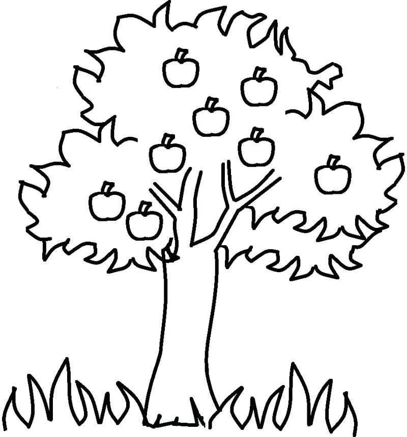 800x859 Coloring Pages Trees Big Trees In Autumn With Fall Leaf Coloring