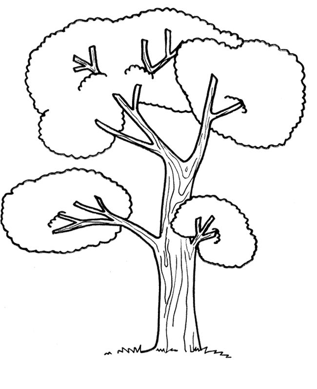 650x796 The Big Tree Coloring Page Zentangle