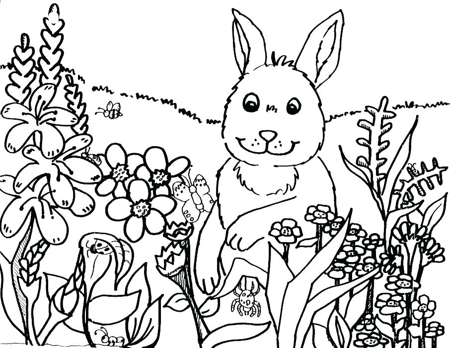906x700 Biology Coloring Sheets Biology Ng Pages Rabbit The Flowers Sheet