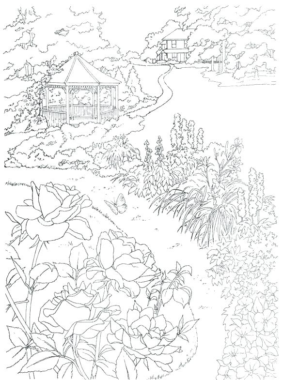 584x785 Biology Coloring Book