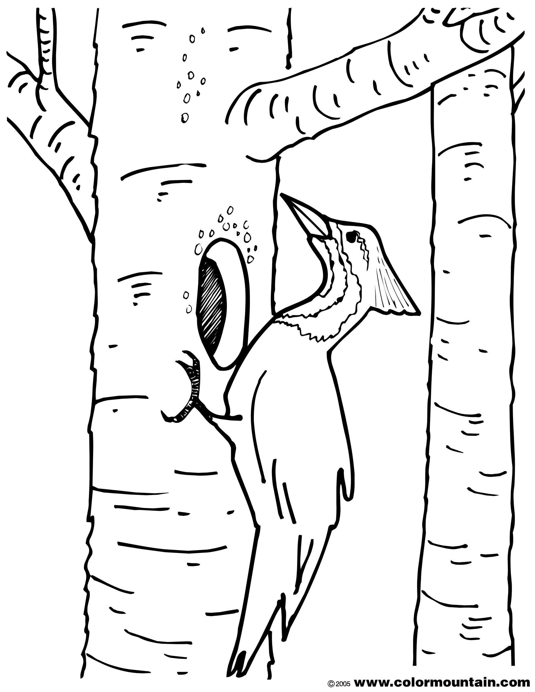 1800x2329 Birch Tree Coloring Pages Download Coloring For Kids