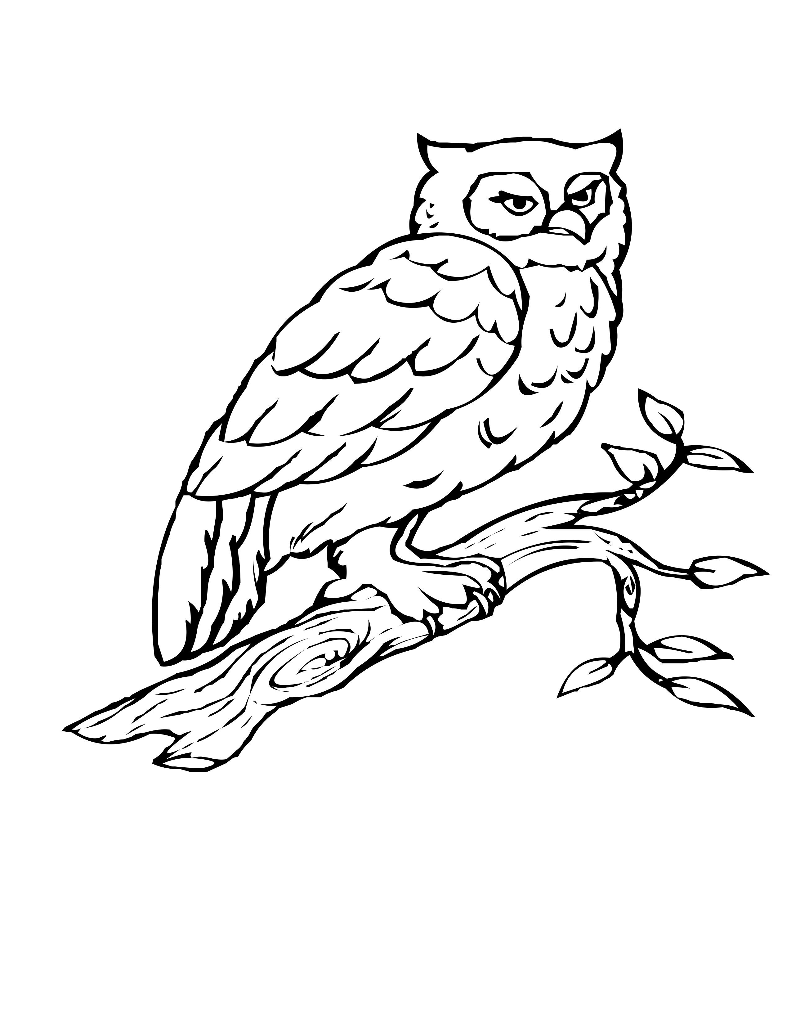 2550x3300 Tree Branch Coloring Pages