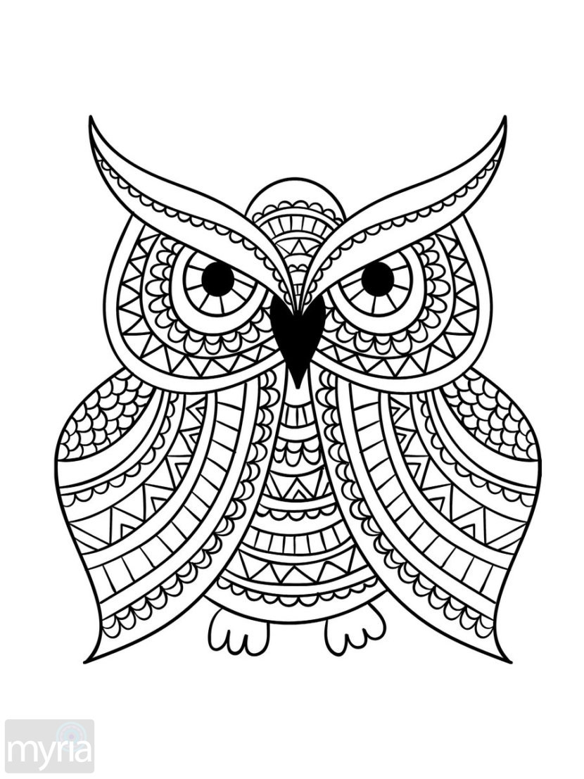830x1107 Best Of Birds Large Print Adult Coloring Pages Gallery Great