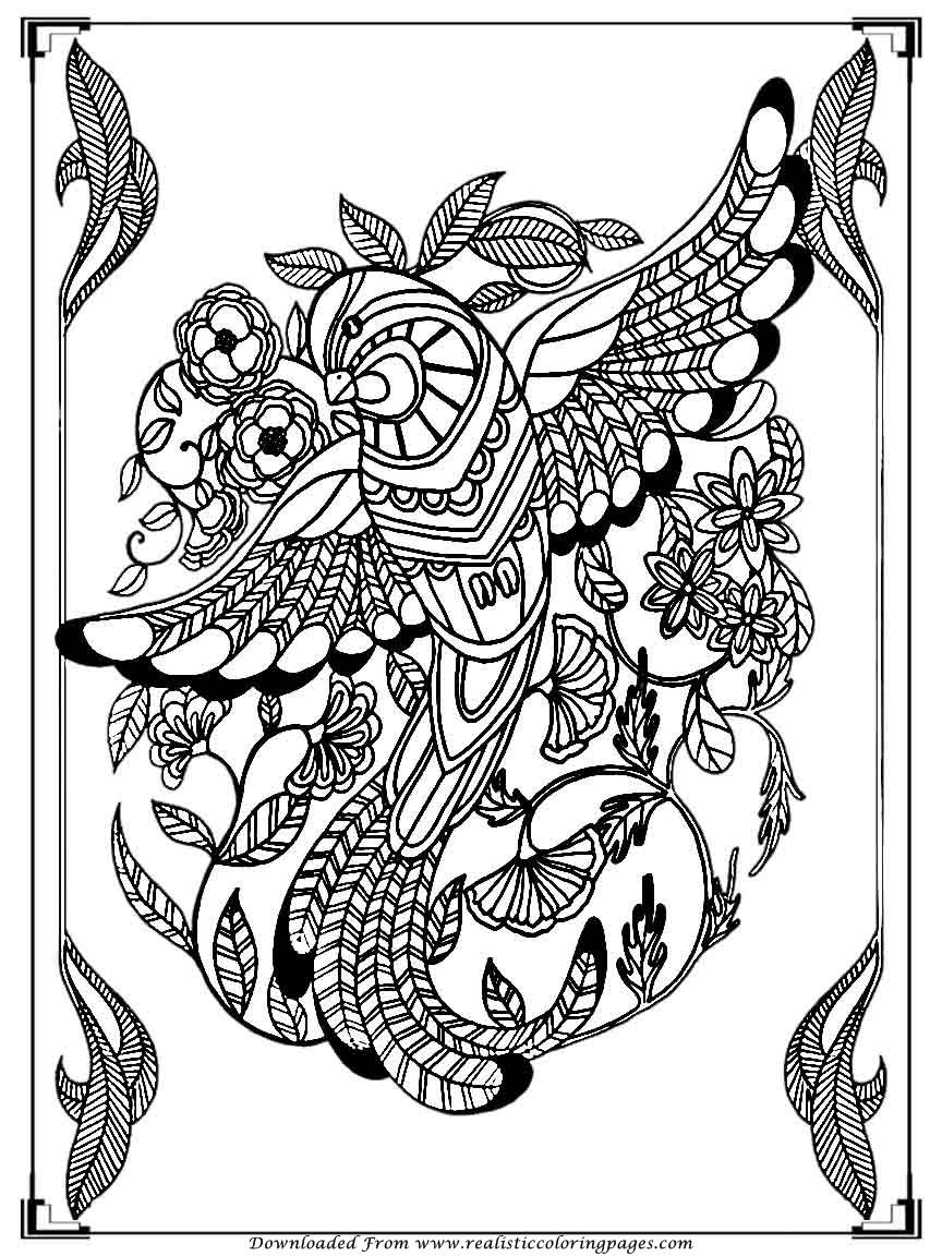 864x1152 Find Printable Adult Coloring Pages, Best Ideas