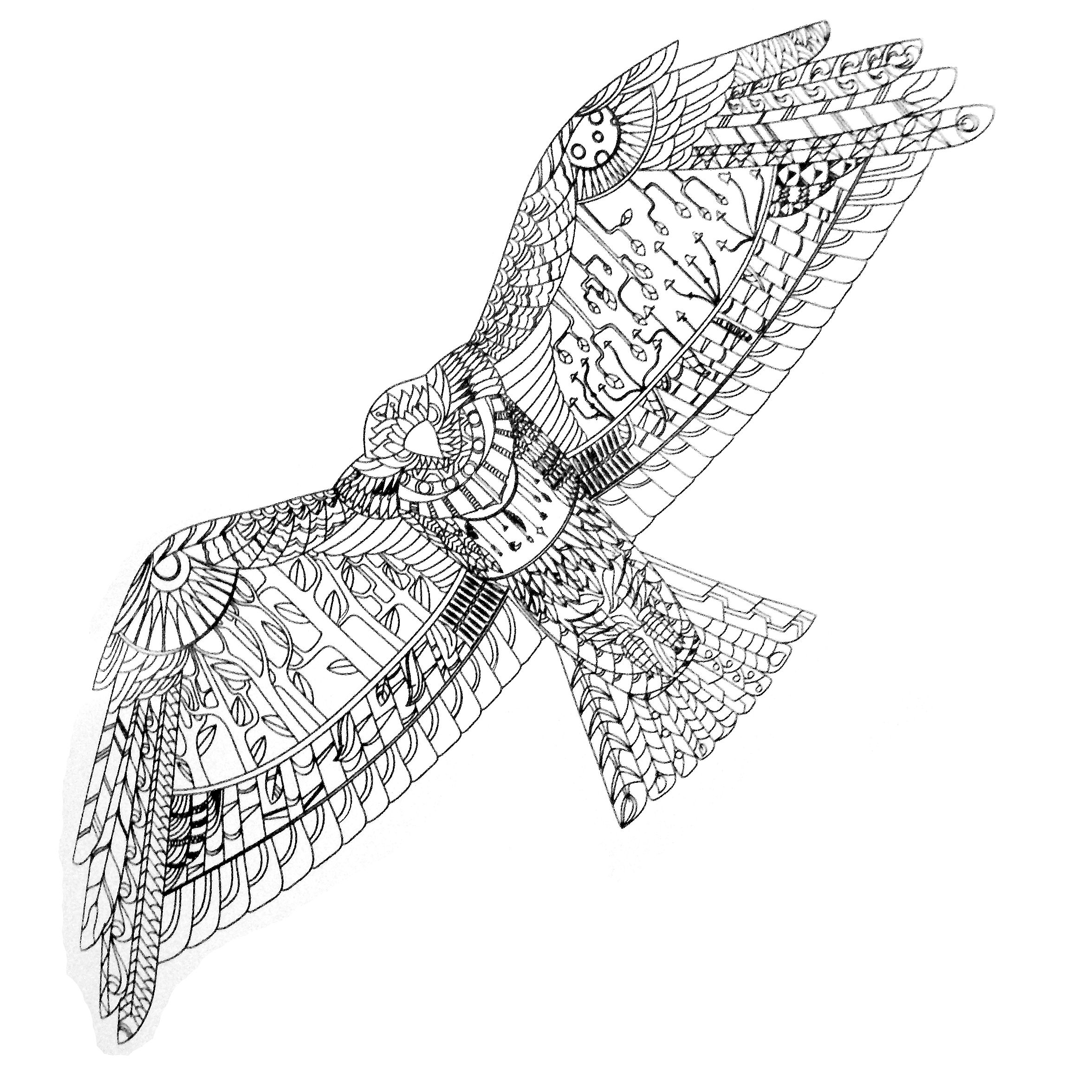 2352x2352 Colors Of Nature Adult Colouring Book