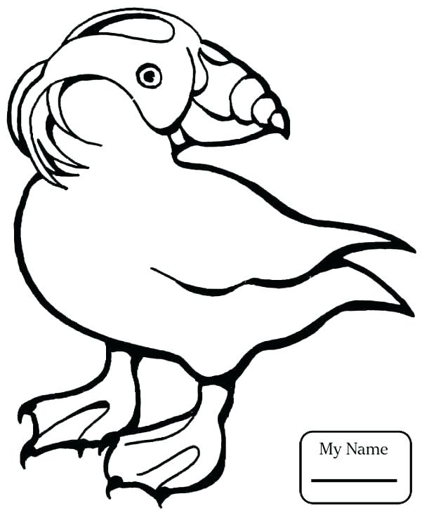 601x734 Coloring Page Of A Bird Puffin Coloring Page Coloring Pages Birds