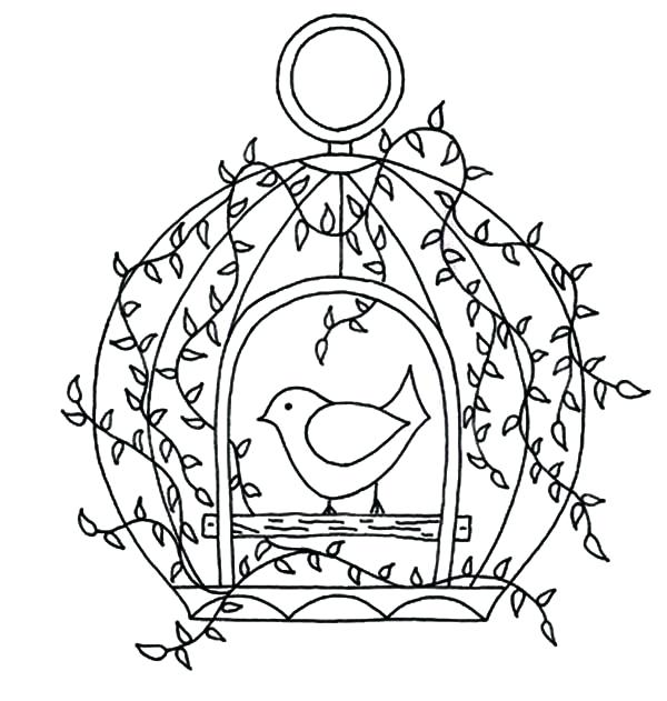 600x631 Bird In A Cage Drawing At Free For Personal Use Myka Jelina
