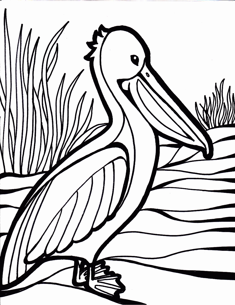 1000x1300 Coloring Pages Of Birds Luxury Birds Coloring Pages To Knowing
