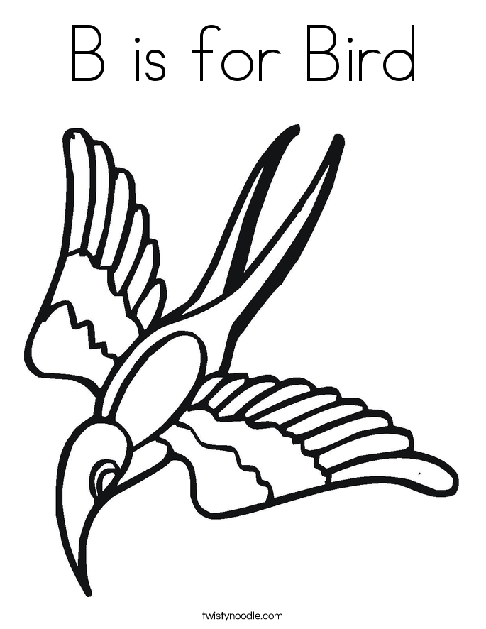 685x886 B Is For Bird Coloring Page