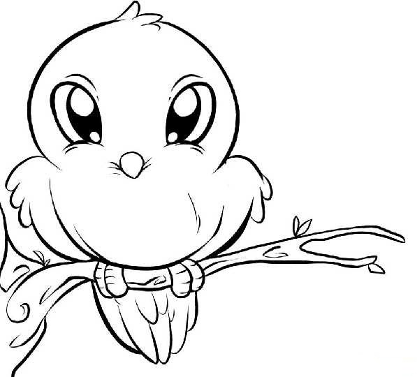 597x540 Baby Bird Coloring Pages