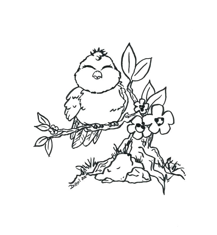 736x796 Bird Coloring Pages For Adults Coloring Page Of Birds As Love Bird