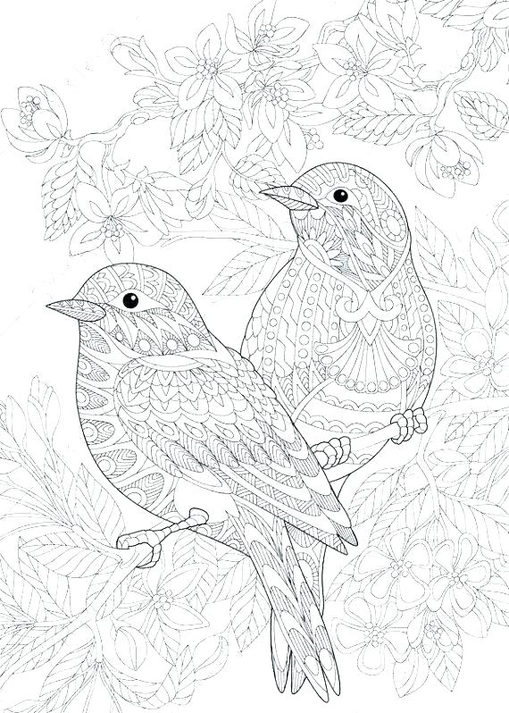 570x798 Bird Printable Coloring Pages Bird Printable Coloring Pages Print